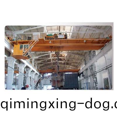 通用(yong)橋(qiao)式(shi)起(qi)重(zhong)機(ji)