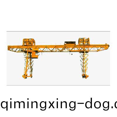 電動(dong)葫(hu)蘆門(men)式(shi)起重(zhong)機(ji)3