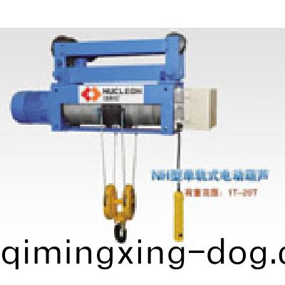 鋼絲(si)電動葫蘆10