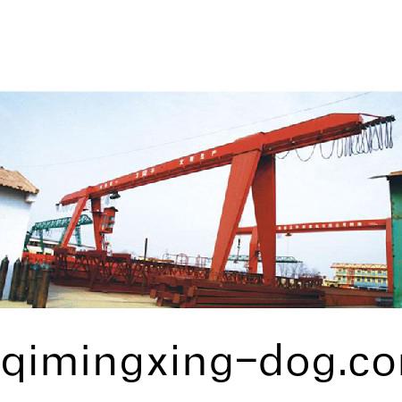 電(dian)動單(dan)樑懸掛起重機8