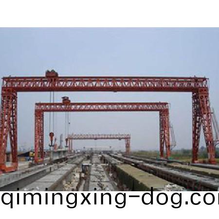 防(fang)爆樑式起重(zhong)機