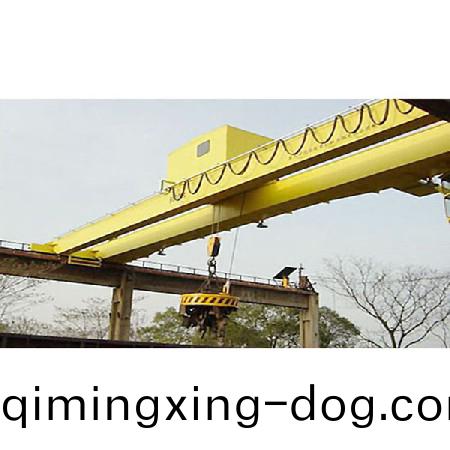 通用橋式起重機(ji)13