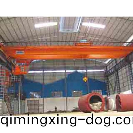 通用橋式起重機(ji)12