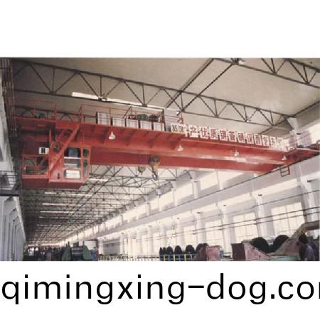 通用橋式起重(zhong)機(ji)10