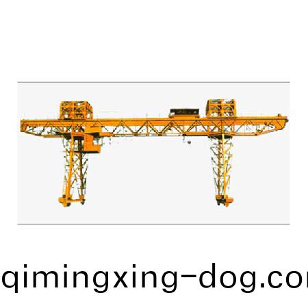 電動葫蘆門式起重機3