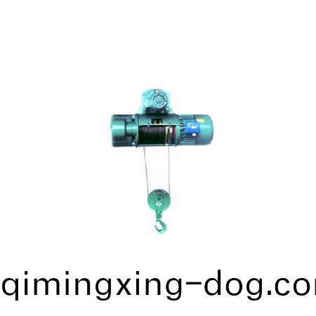 鋼絲(si)電動葫蘆4