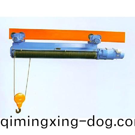 鋼(gang)絲電動(dong)葫蘆2