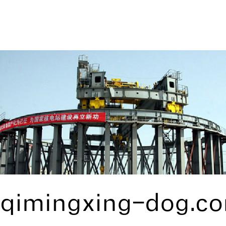 環形軌(gui)道起重機6
